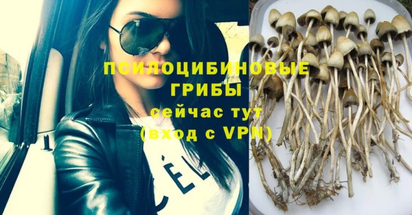 метадон Алзамай