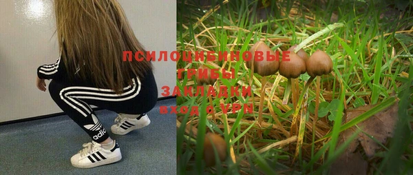 герыч Алексин