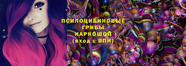 герыч Алексин
