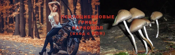 spice Алексеевка